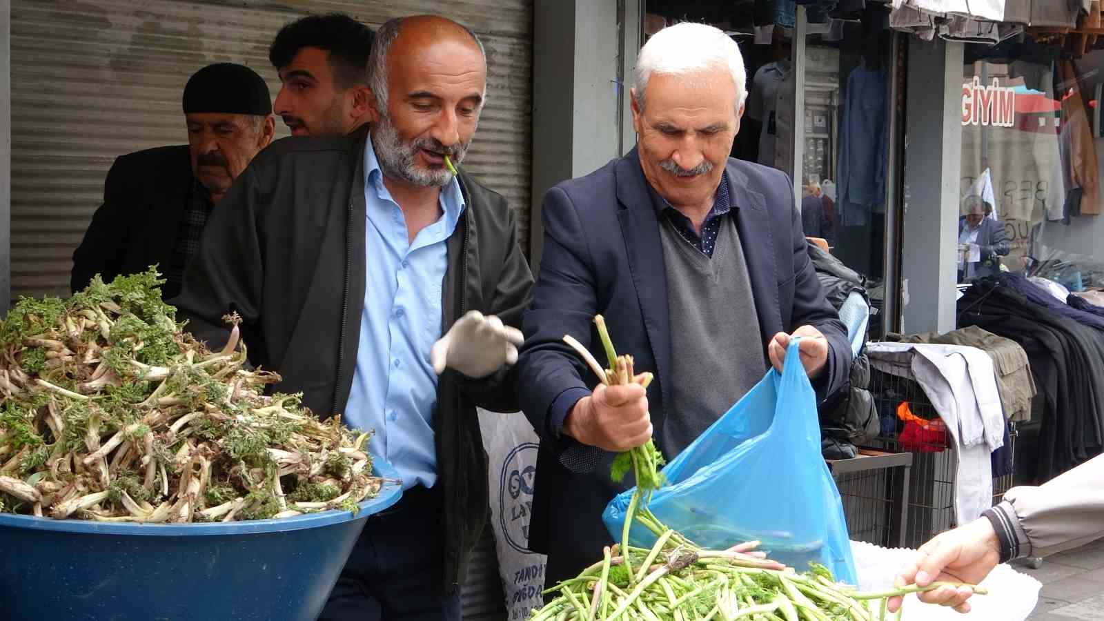 Sofraların vazgeçilmesi otlu peynire tat veren bitkilere büyük ilgi