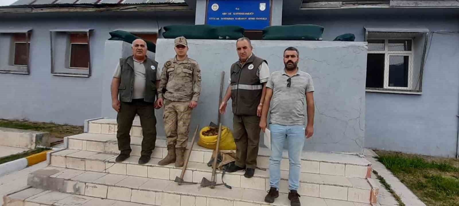 Elazığ’da salep soğanı toplamak pahalıya patladı: 775 bin lira ceza aldılar