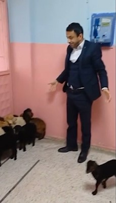 Hakkari’de kara yakalanan kuzuların imdadına okul müdürleri yetişti