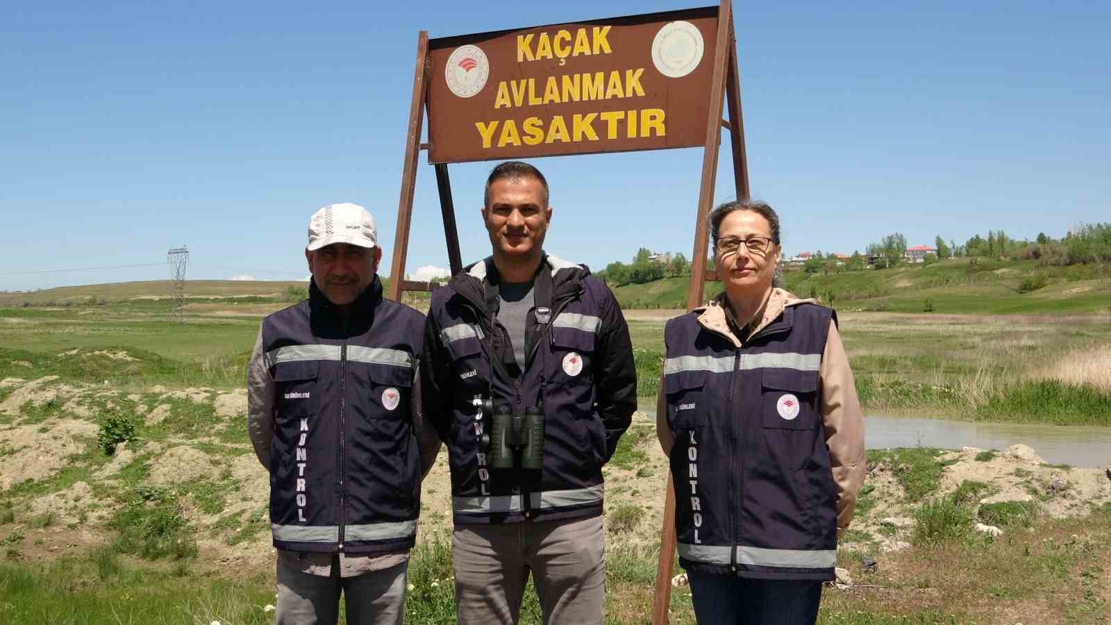 İnci kefali yoğun denetimlerle korunuyor