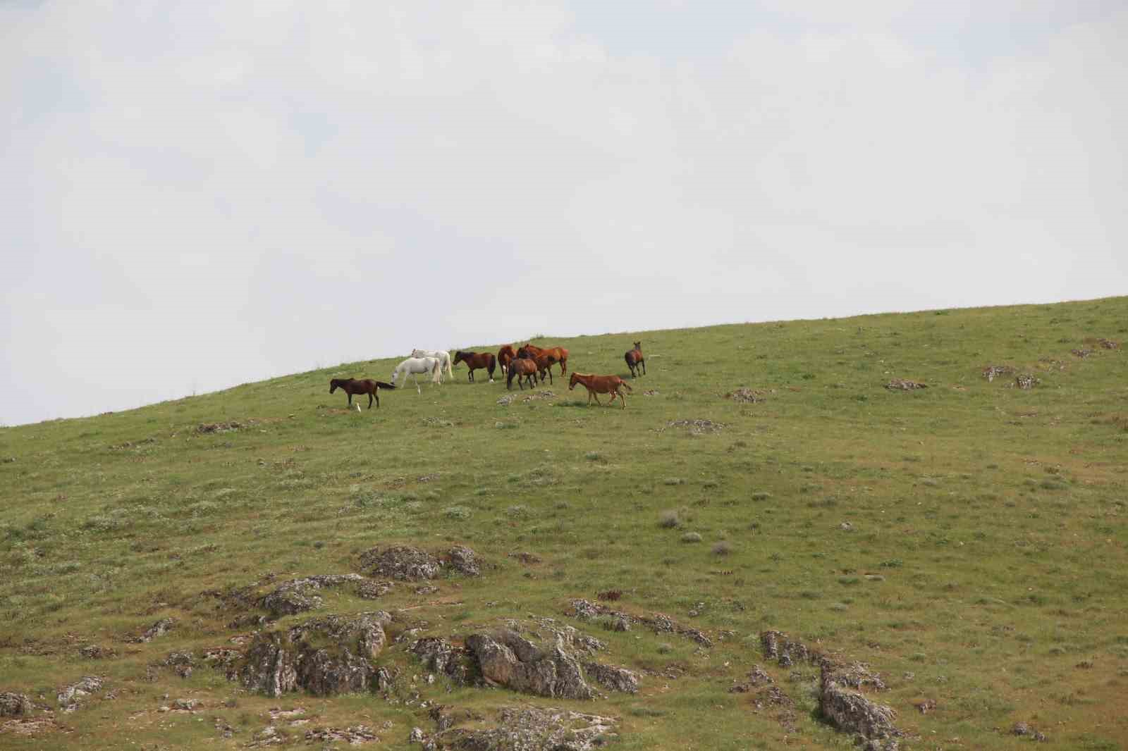 Keban Baraj Gölünde bir ilk: Su üzerinde 9 saatte 200 kilometre yol yaptılar