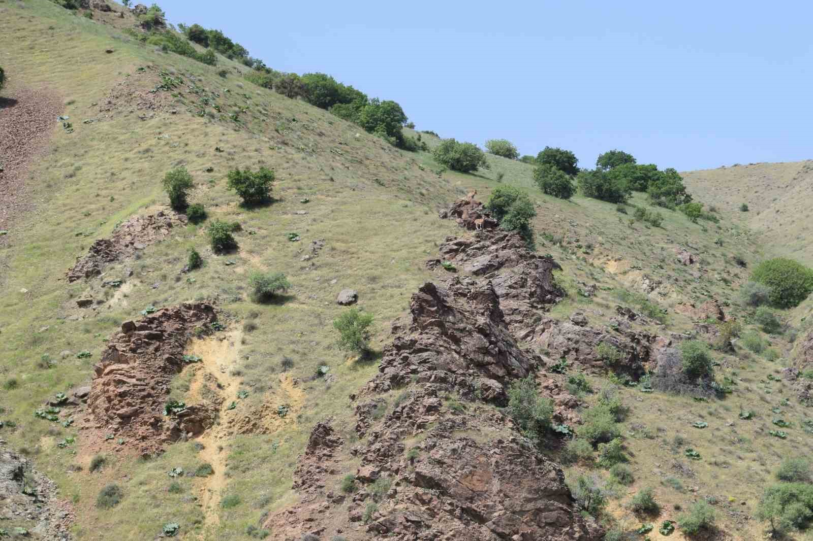 Keban Baraj Gölünde bir ilk: Su üzerinde 9 saatte 200 kilometre yol yaptılar