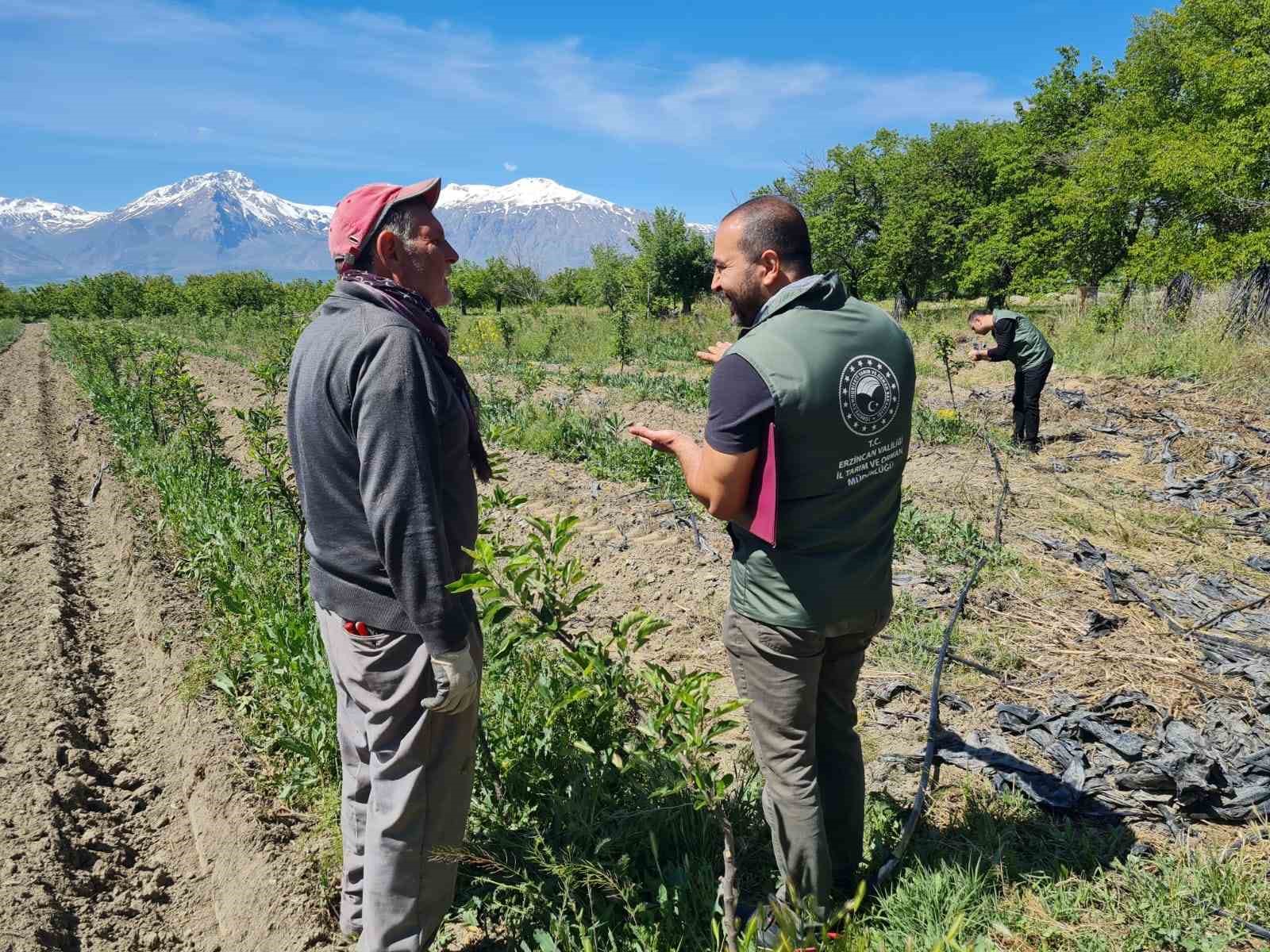 Sahayı adım adım dolaşıyorlar
