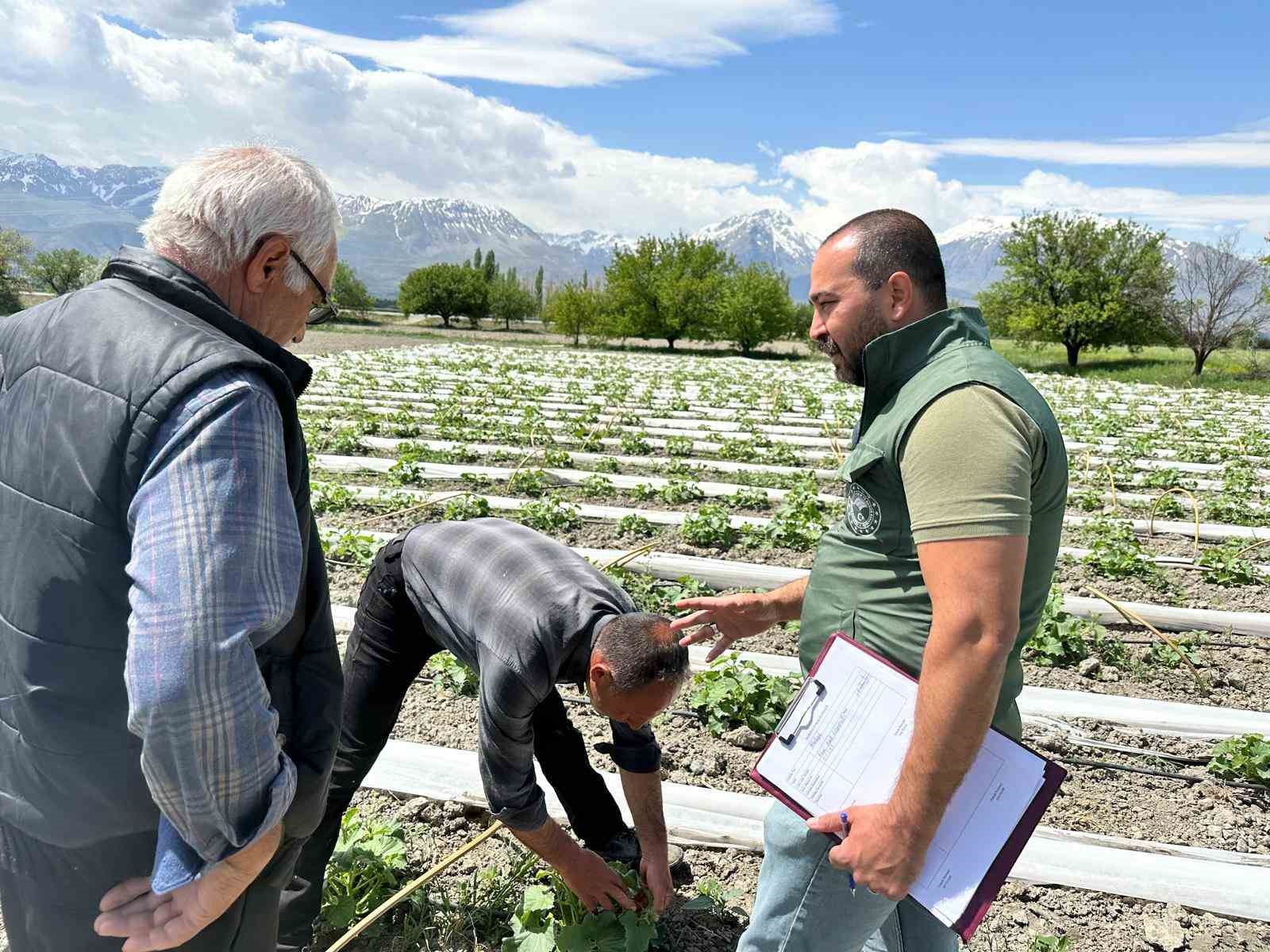 Sahayı adım adım dolaşıyorlar
