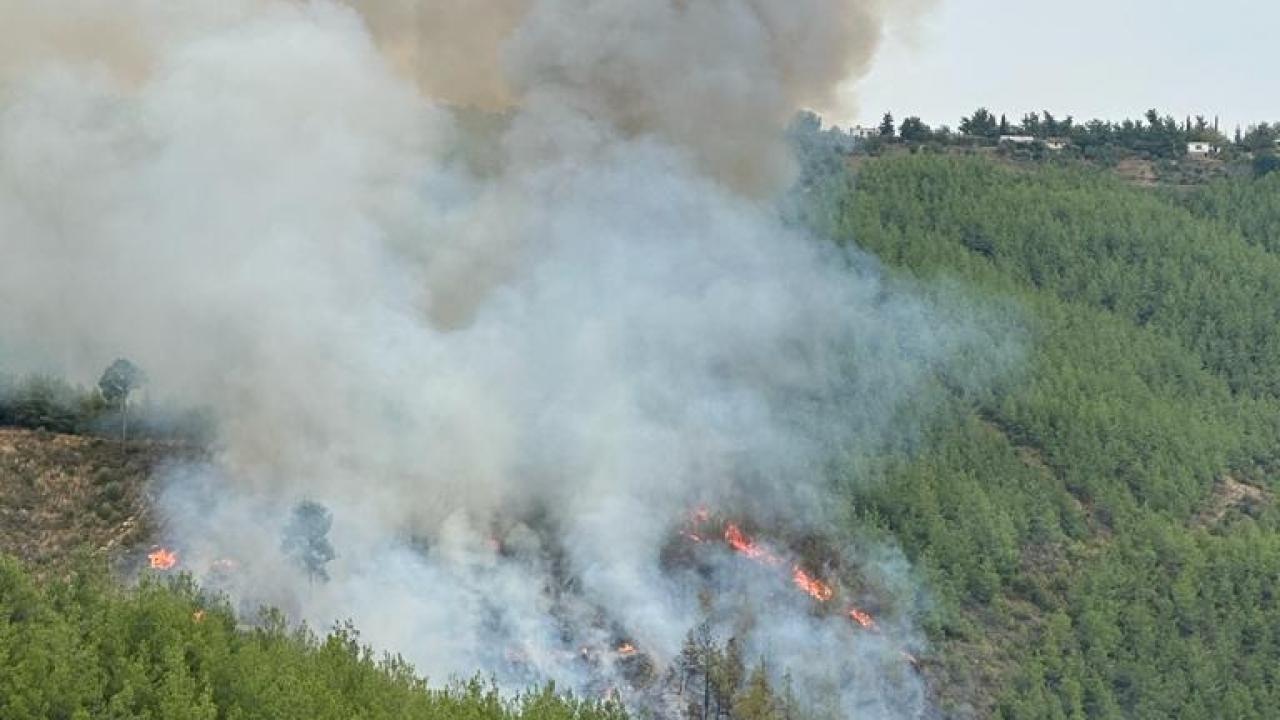 Adana’da çıkan orman yangını kontrol altına alındı