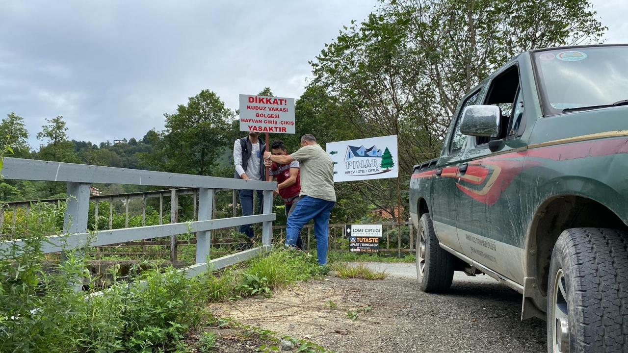 Artvin’de kuduz karantinası! Tam 6 ay sürecek!