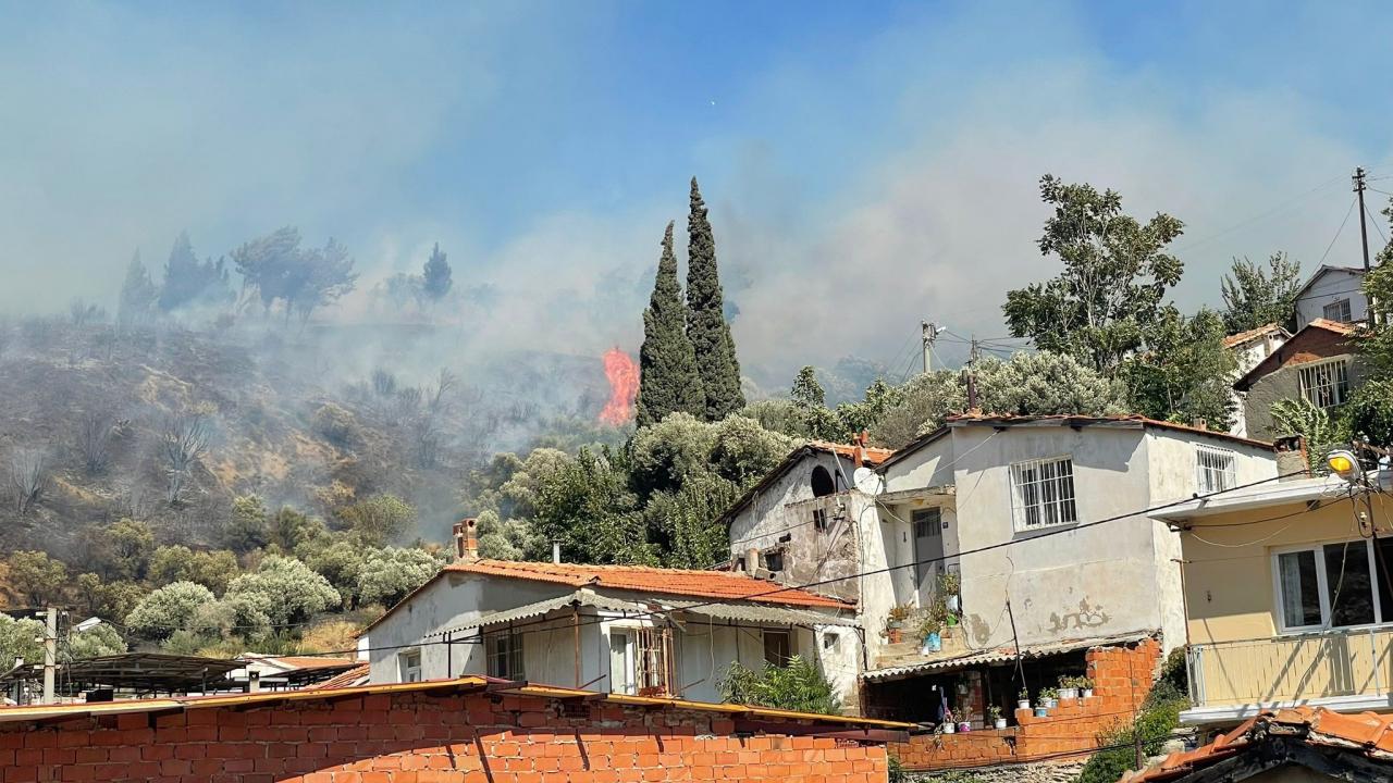 Aydın’da yangın: 10 dönümlük alan zarar gördü