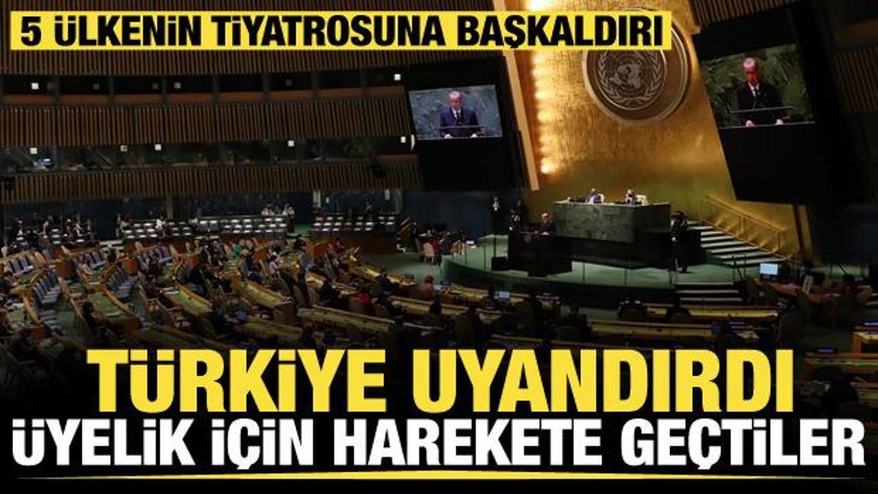 BMGK’de 5 üye ve veto krizi! Erdoğan’ın reform çağrısı diğer ülkeleri de harekete geçirdi