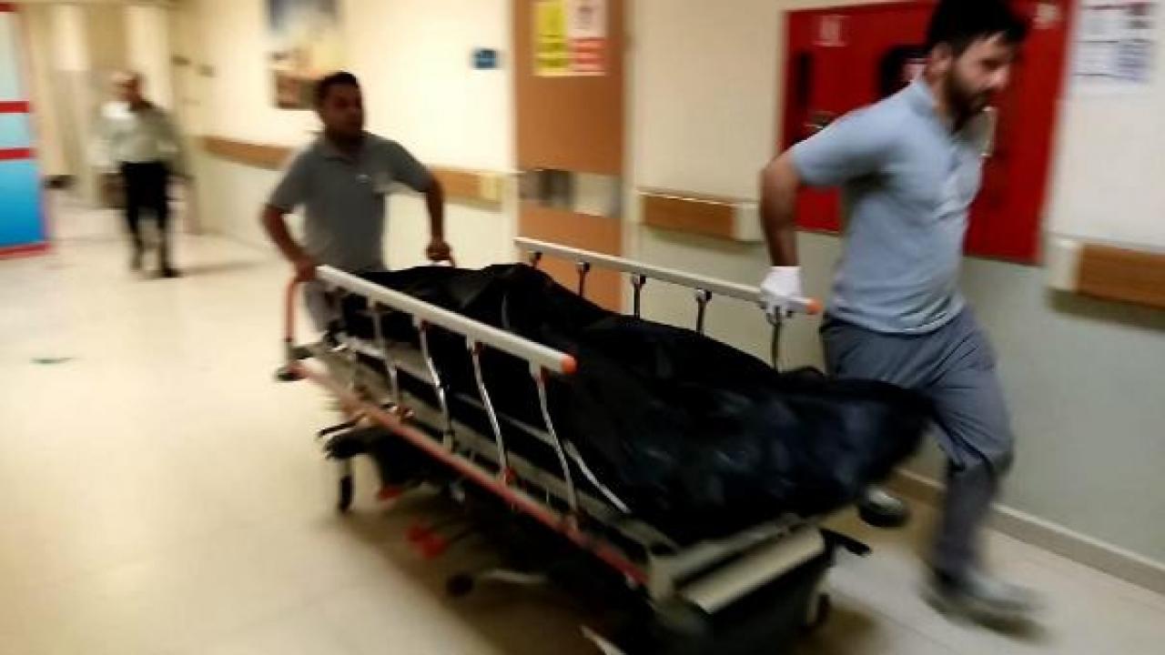 Bursa’da, arının soktuğu kadın öldü