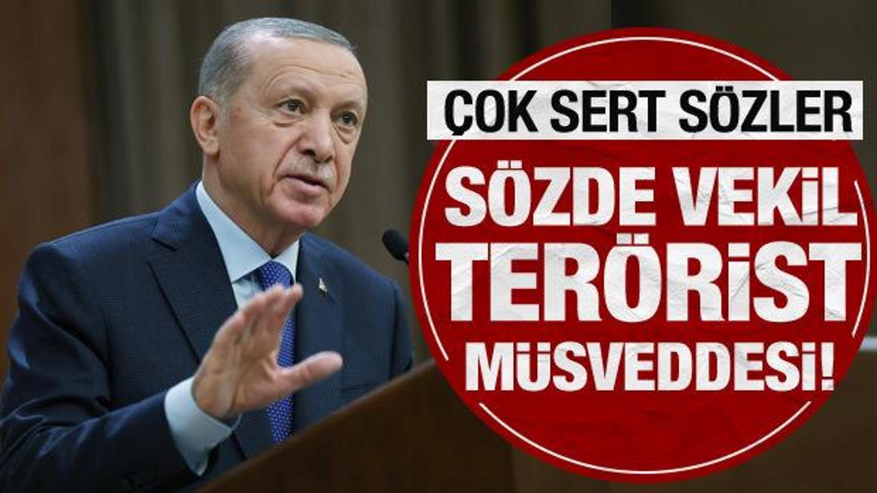Cumhurbaşkanı Erdoğan’dan CHP’li Tanrıkulu’na sert tepki: Terörist müsveddesi!