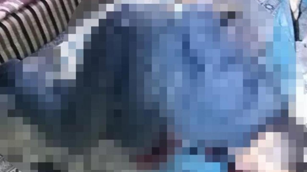 Elleri arkadan bağlı halde ölü bulundu