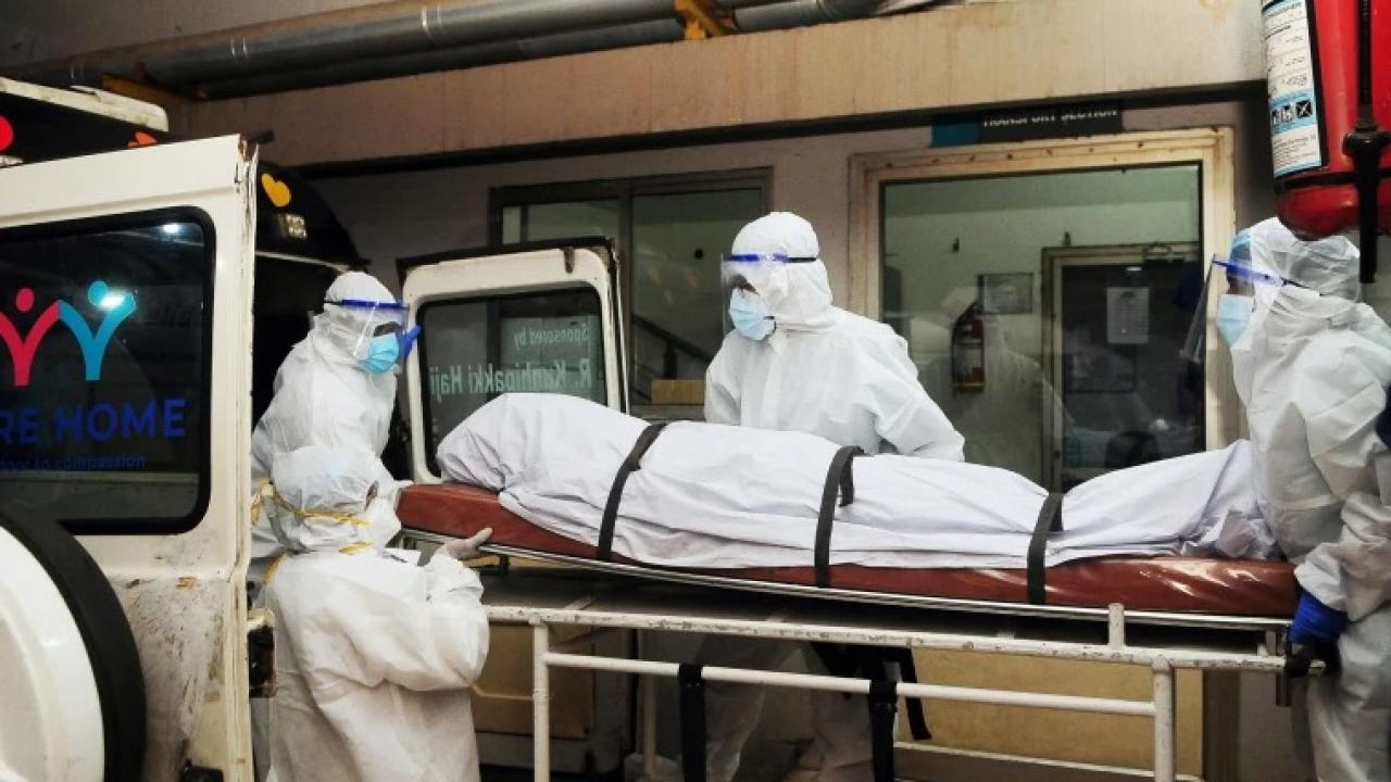 Hindistan’da Nipah virüsü kaynaklı ölüm oranları Kovid-19’a kıyasla daha yüksek