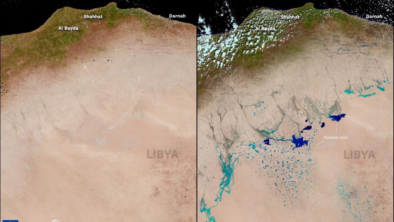 Yağış o kadar kuvvetliydi ki Sahra Çölü’nü bile su bastı