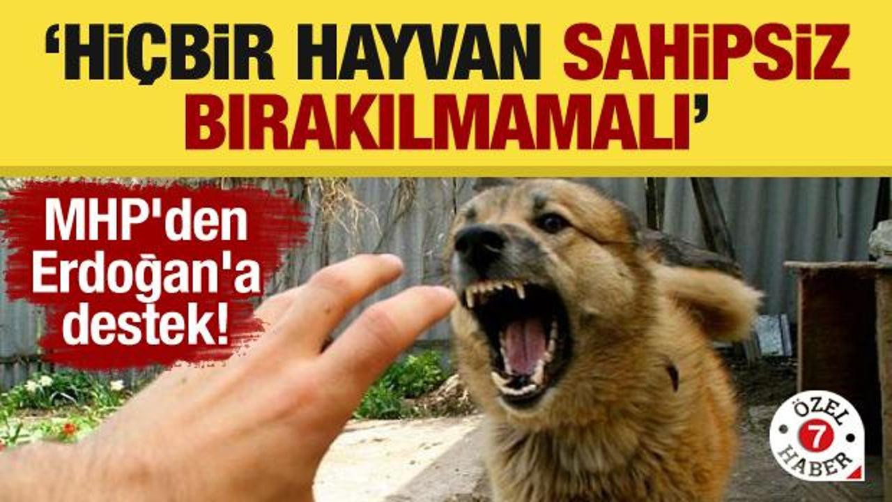 MHP’den Erdoğan’a destek! ‘Hiçbir hayvan sahipsiz bırakılmamalı’
