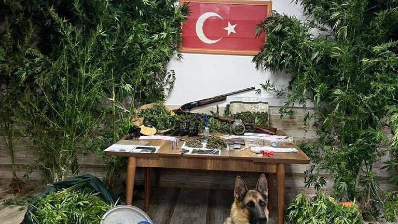 Sakarya’da uyuşturucu operasyonu: 6 gözaltı