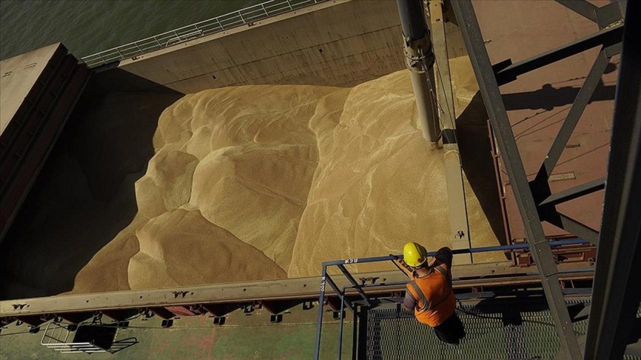 Ukrayna, Kenya’ya tahıl merkezi kuracak