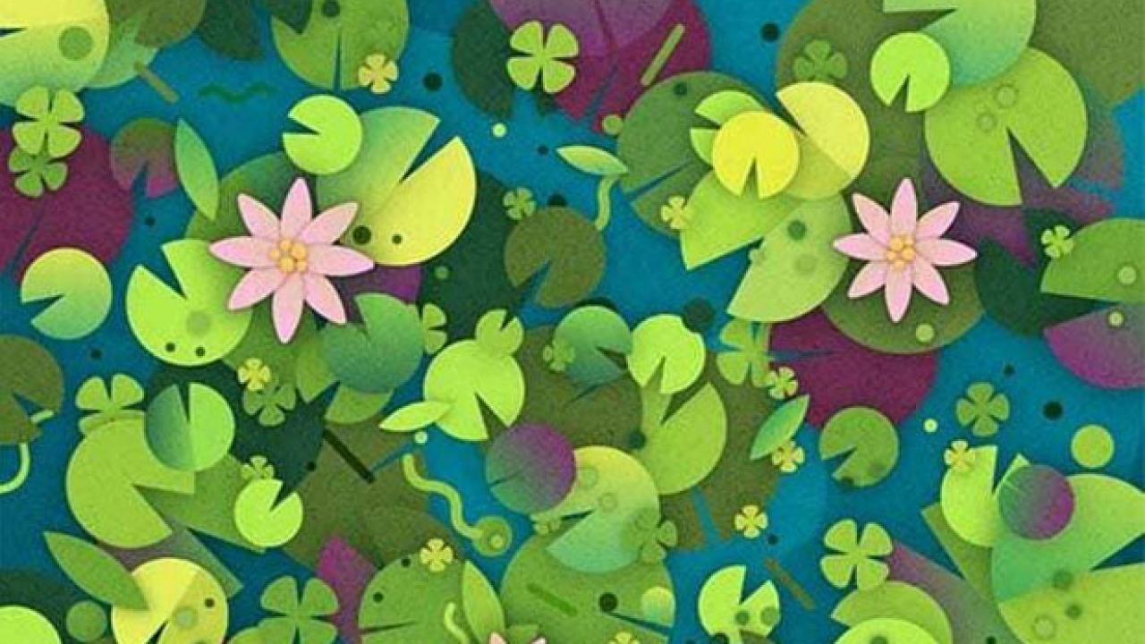 Akıllara durgunluk veren zekâ testi: Nilüfer yaprakları arasına gizlenmiş kaplumbağayı 5 saniye içinde bulun!