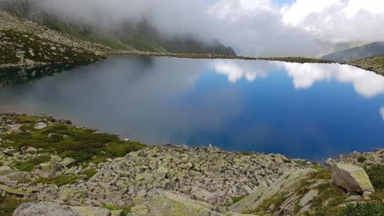 Kaçkarlar’da 48 ‘alg’ türü tespit edildi