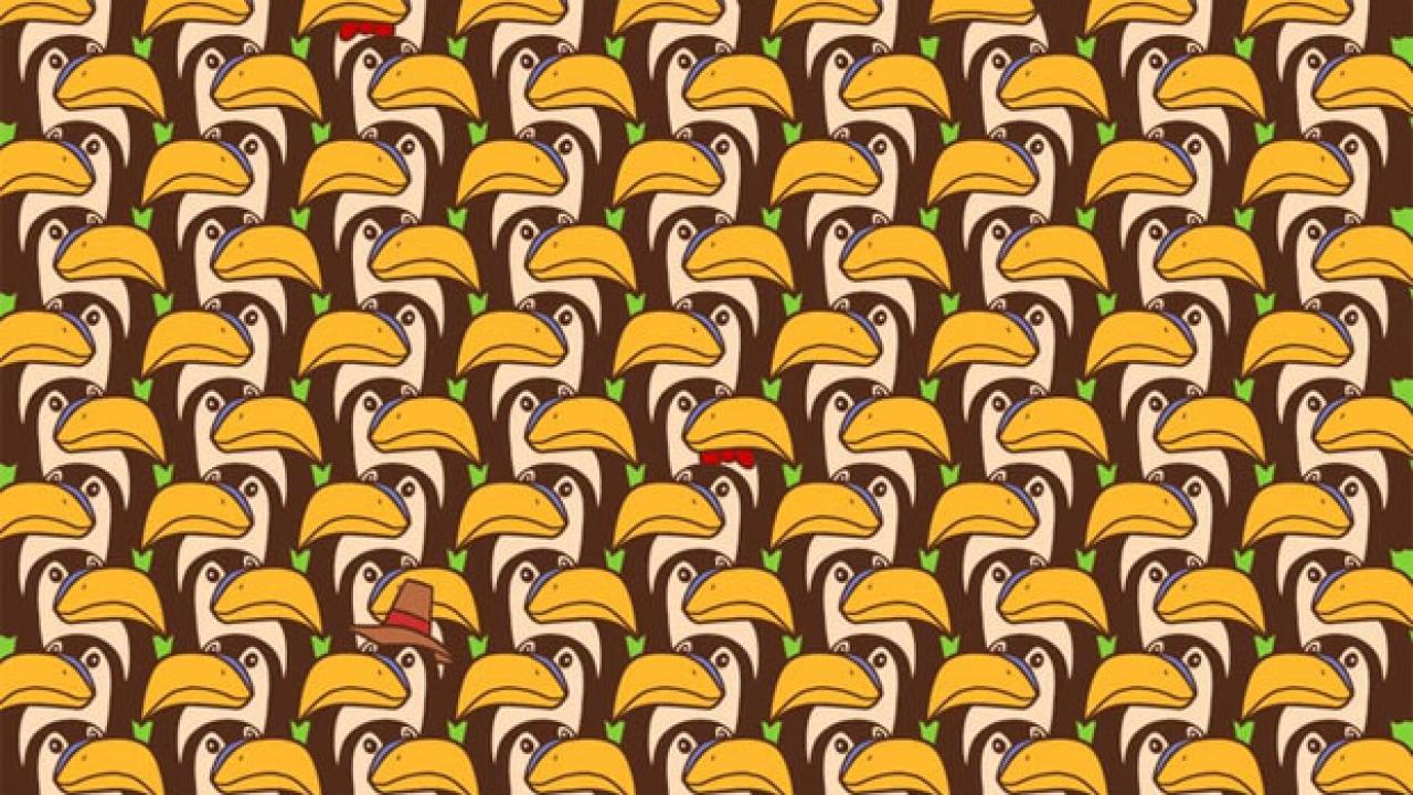 Optik illüzyon ile görsel IQ’nuzu test edin! Pelikanların arasında gizlenen pengueni arayanların sadece %5’i 9 saniye içerisinde görebiliyor