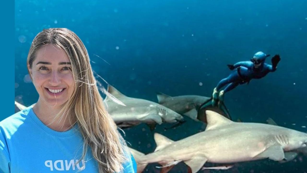 Şahika Ercümen’den köpek balığı saldırılarına yanıt! 3 metreyi bulan köpek balıklarıyla…