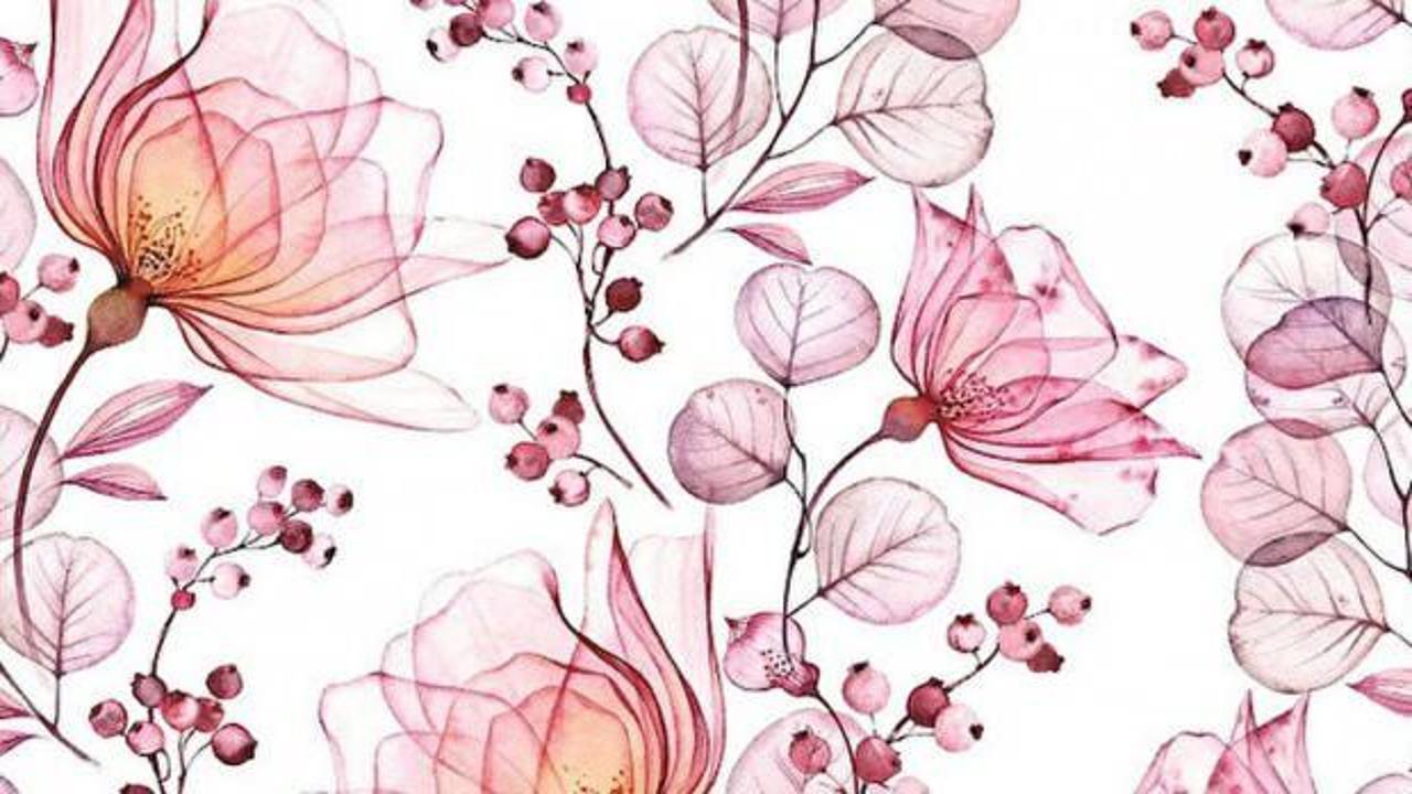 Şeyhülislam kaleminden hadis şerhleri