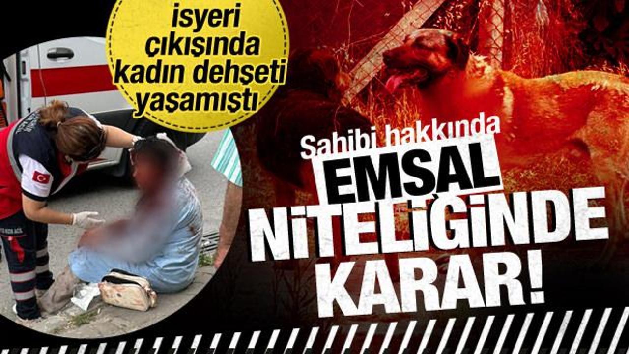 Ataşehir’de kadına saldıran köpeğin sahibi tutuklandı