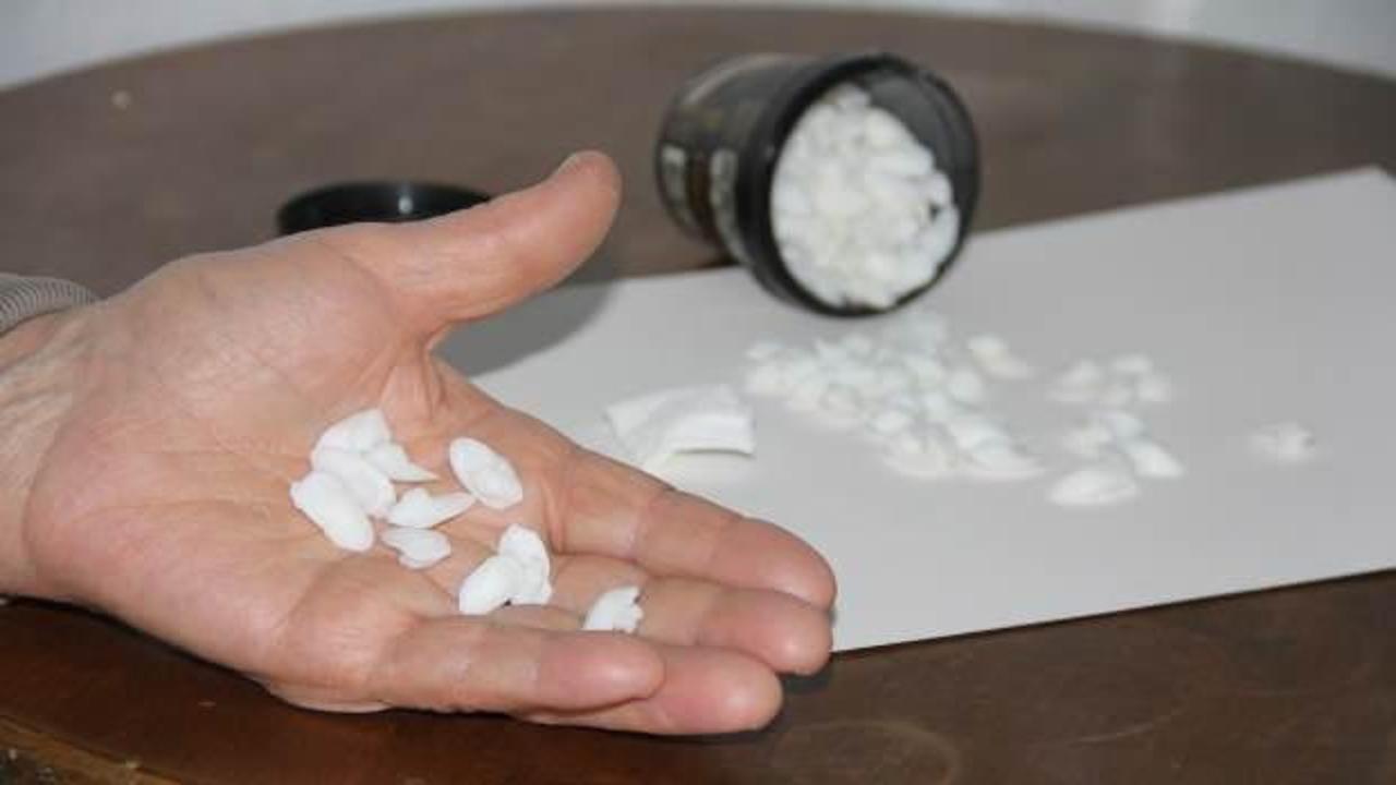 Balık taşı böbrek hastalıklarına iyi geliyor