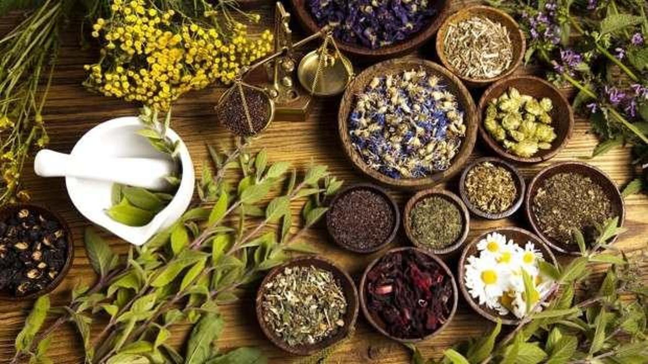 Bitkisel ilaçlar kanser tedavisini olumsuz etkileyebilir