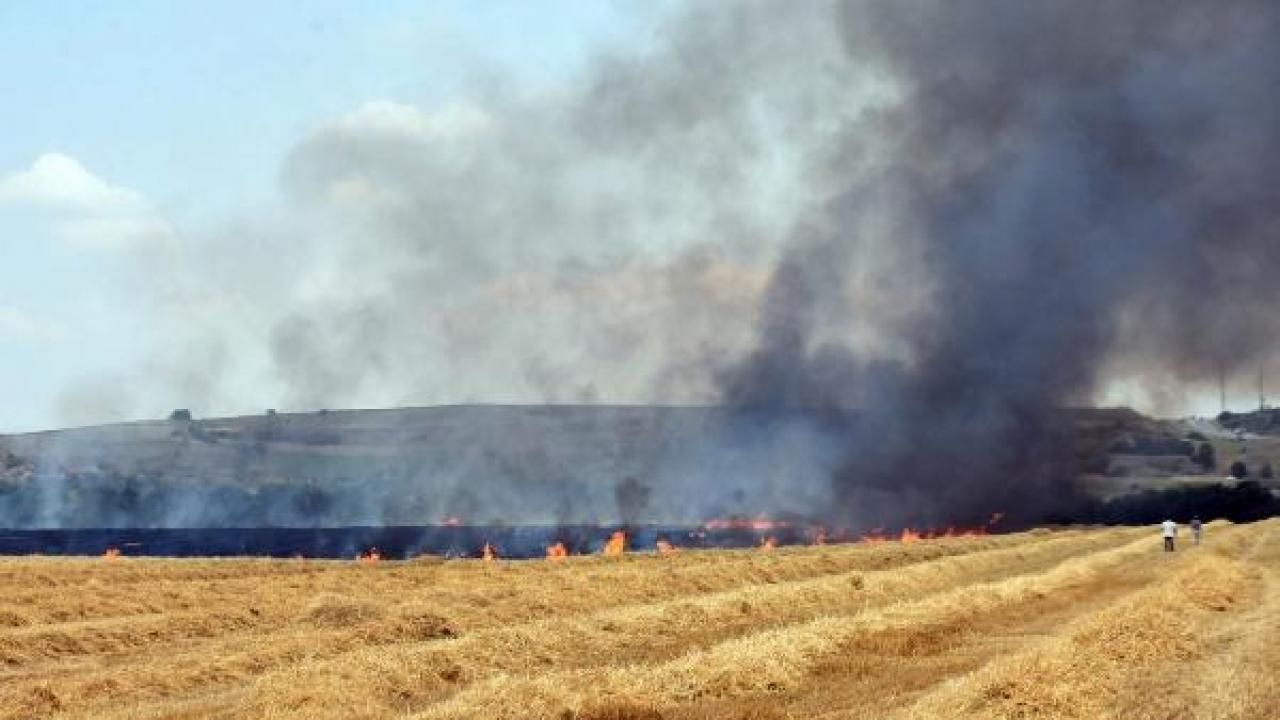 Edirne’de 250 dönüm buğday tarlası yandı