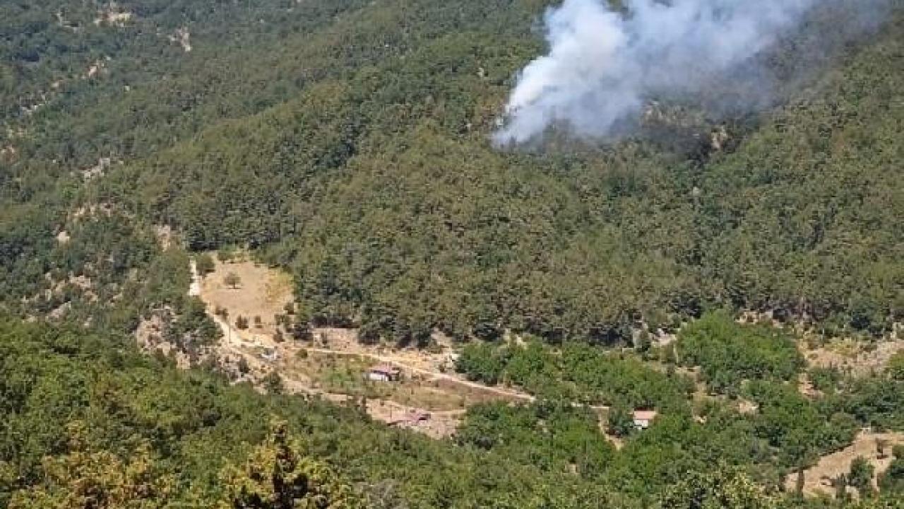Hatay’da orman yangını