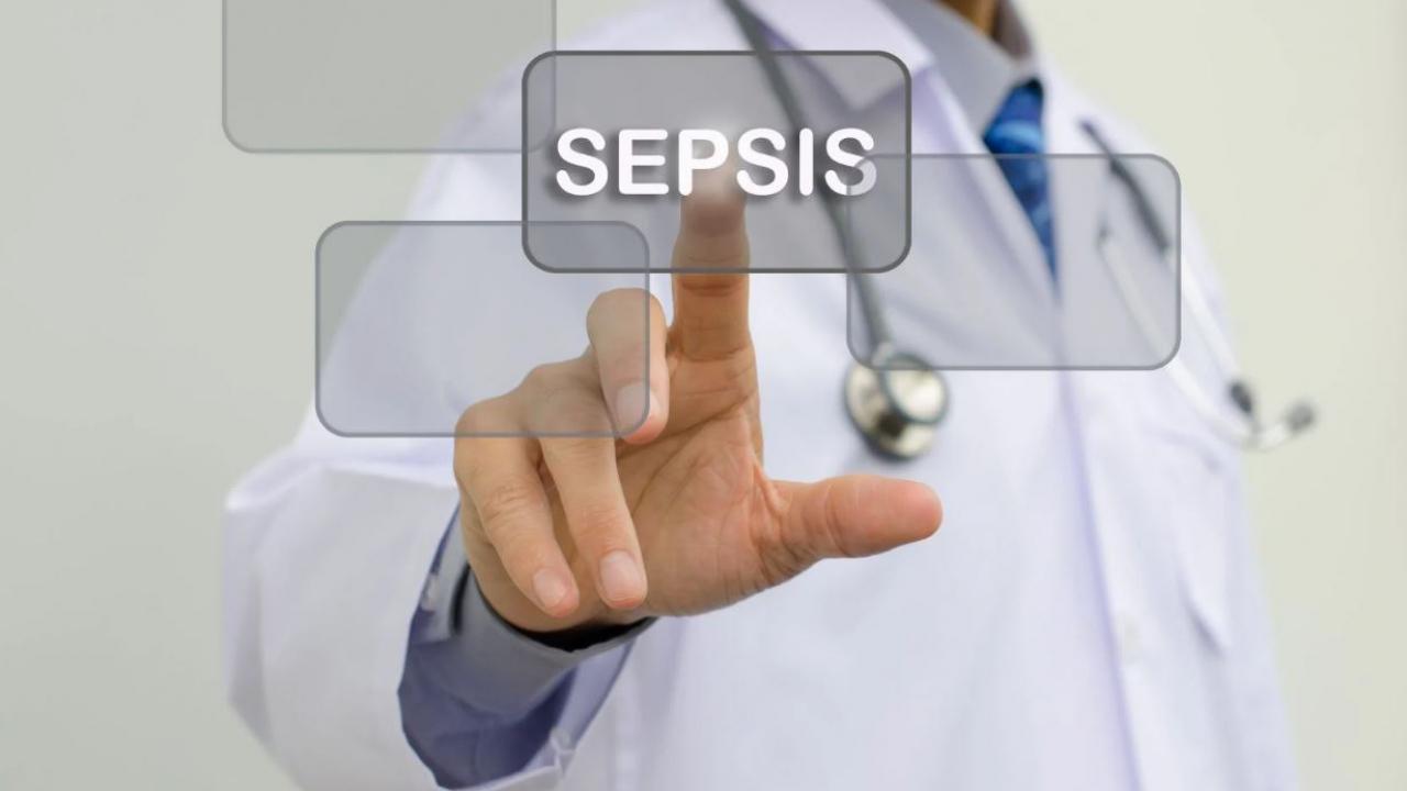 Prof Dr. Yasemin Akkoyunlu: Her üç ölümden birinin sebebi ‘Sepsis’