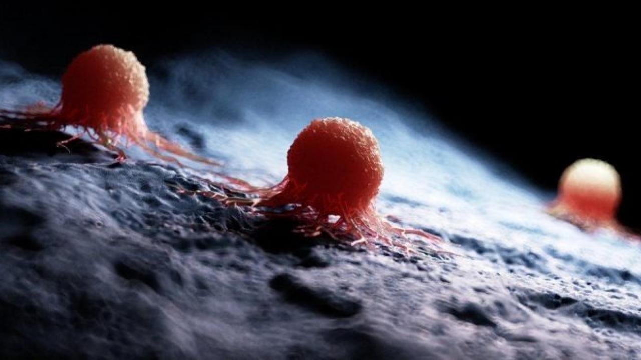 Kanser tedavisinde bir ilk: Kanserli hücreler için üretilen virüs insanda denendi!