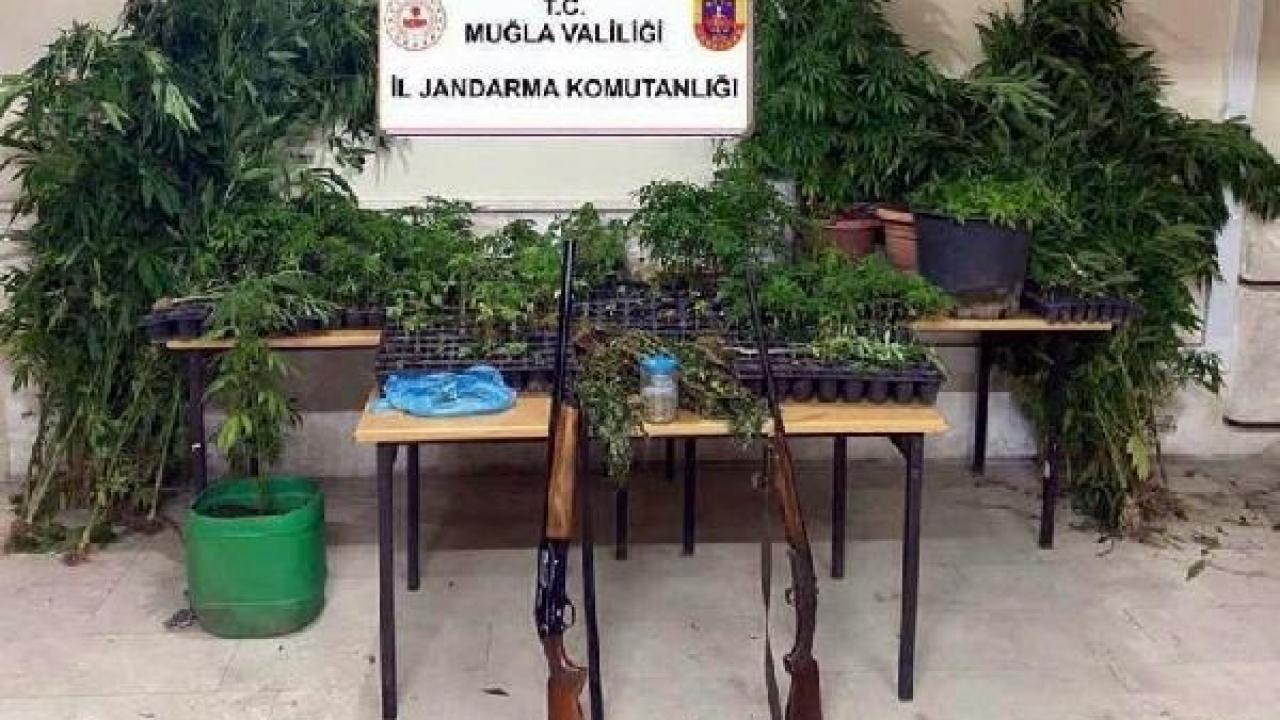 Muğla’da uyuşturucu operasyonu: 27 gözaltı