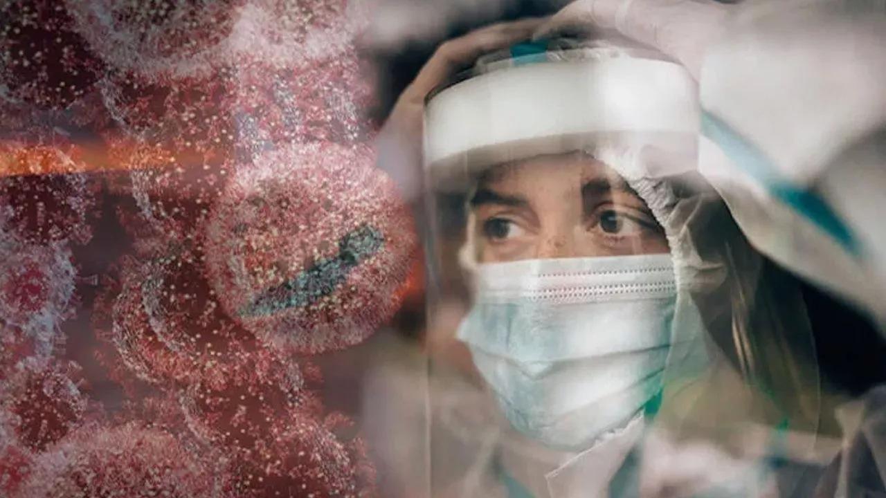 Prof. Dr. Şener’den domuz gribi uyarısı: Covid-19 kadar bulaşıcı ve öldürücü olabilir!