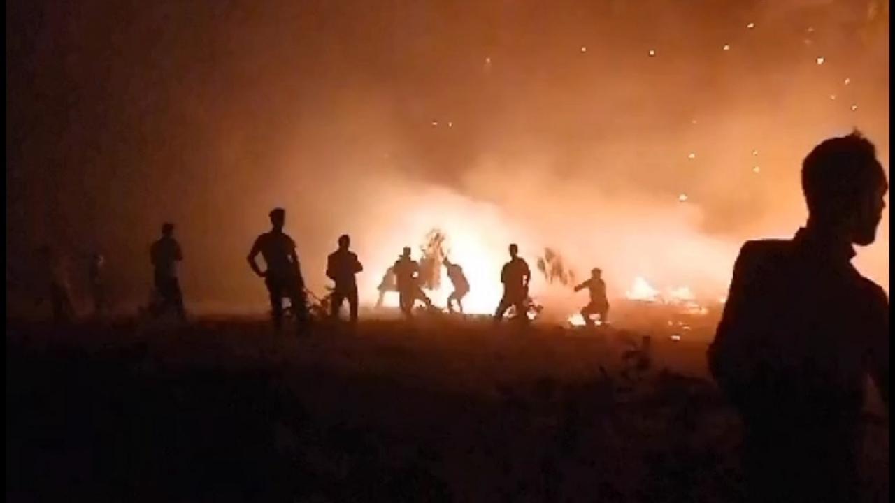 Siirt’te fıstık bahçesinde çıkan yangın, ormana da sıçradı