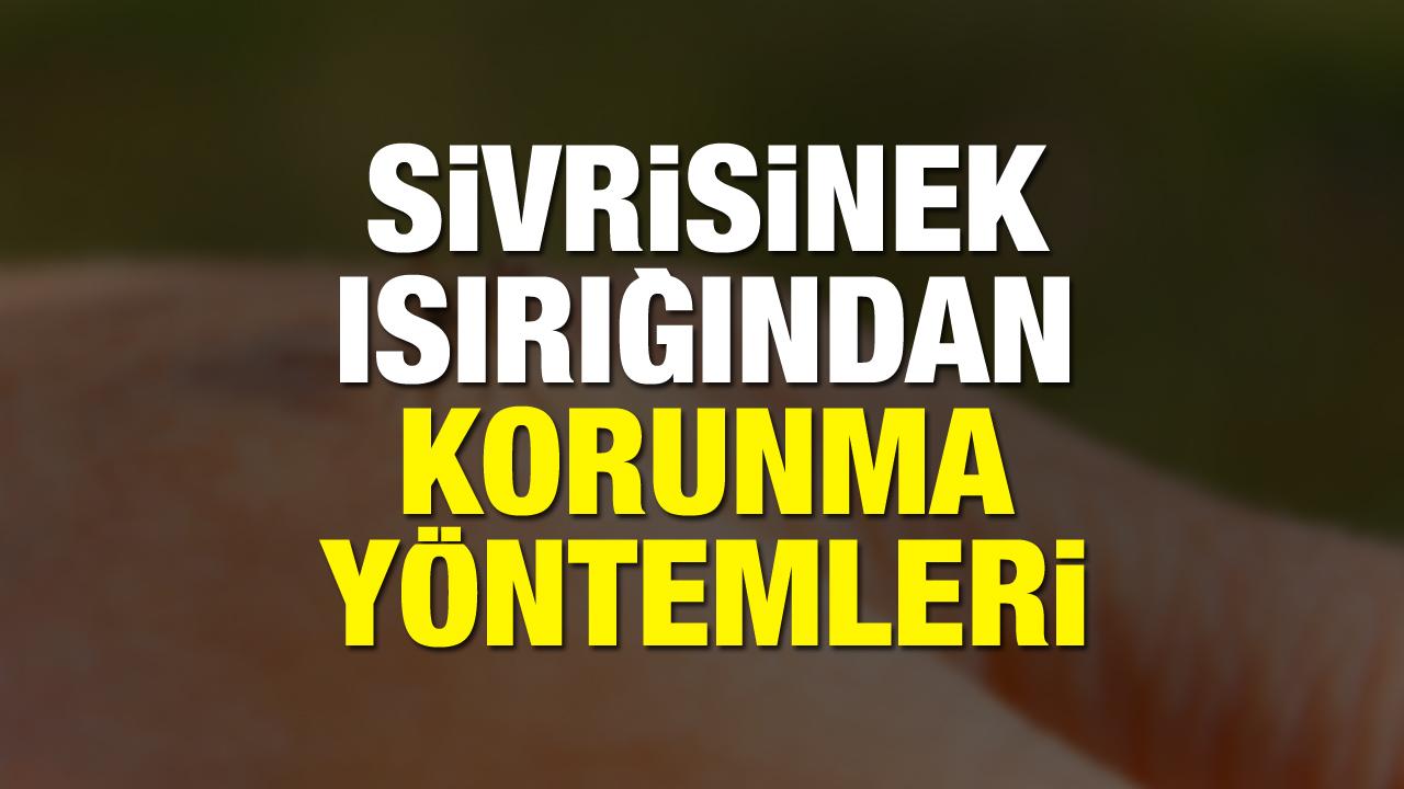 Sivrisinekten nasıl korunulur? Doğal yöntemlerle sivrisinekten korunma yolları