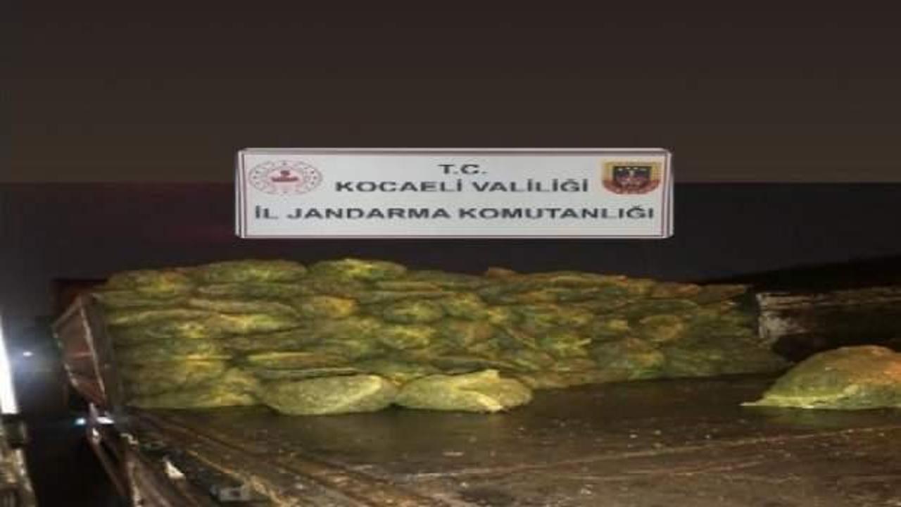 TIR’da 10 ton kaçak midye ele geçirildi