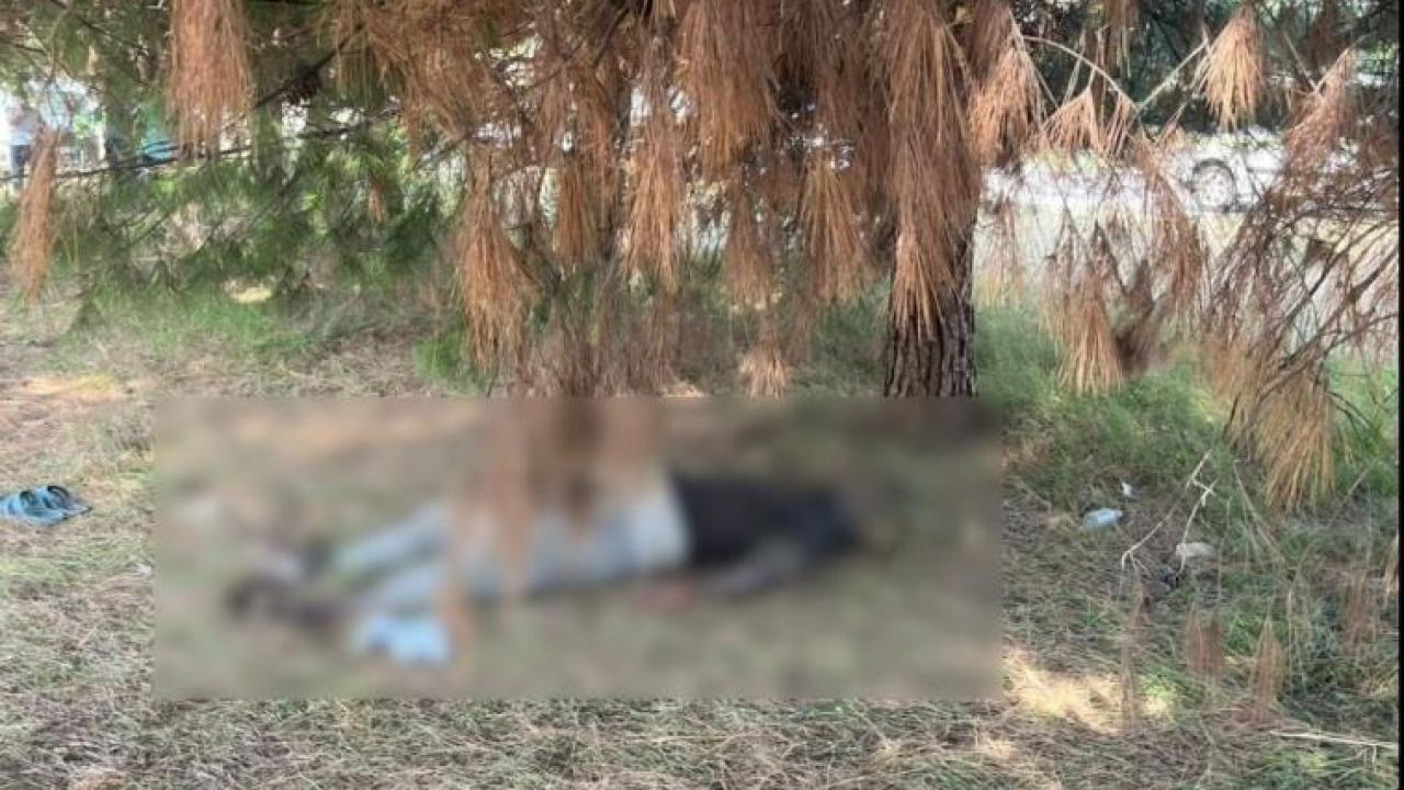 İşçiler fark etti… Bursa’da ağaçlık alanda erkek cesedi bulundu