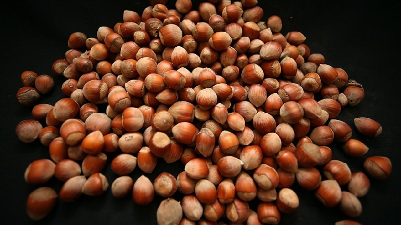 Türkiye’den Almanya’ya milyon dolarlık ihracat!