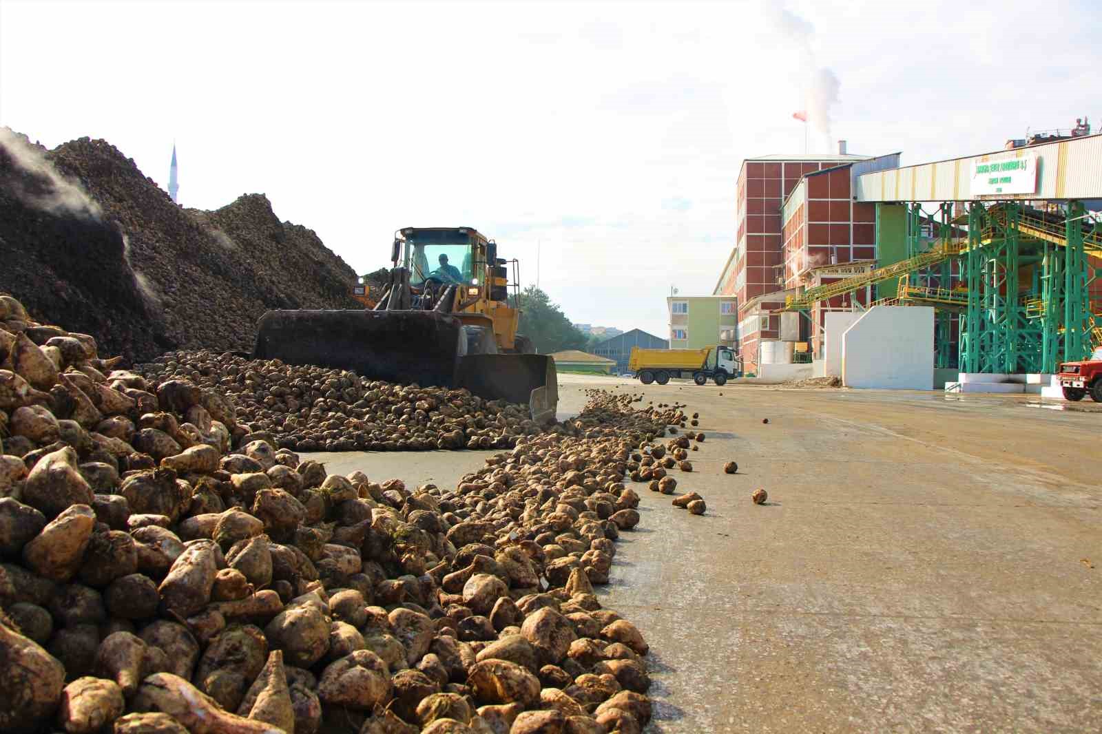 Amasya Şeker Fabrikası’nda 70. pancar alım kampanyası başladı