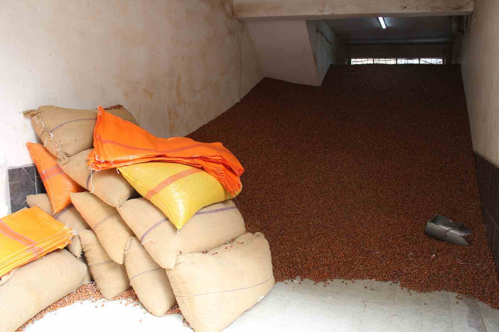 Serbest piyasada fındık 100 TL’ye ulaştı