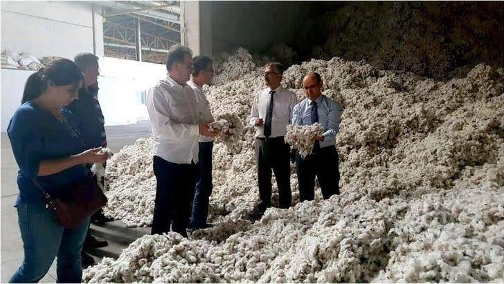 Kalitenin korunması için pamuk hasadında denetlemeler gece gündüz sürecek