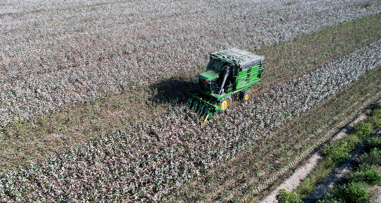 Adana’da pamuk hasadı başladı