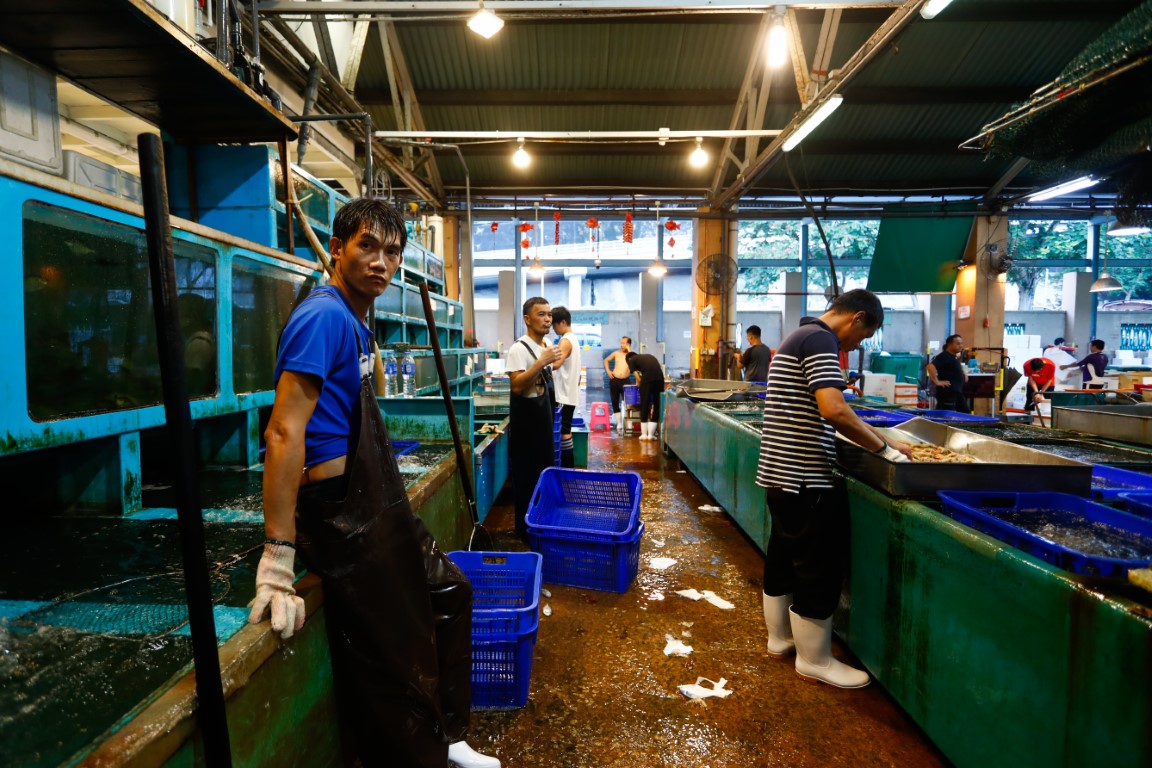 Çin’den Japonya’ya Fukushima tepkisi: ‘Bencilce ve sorumsuzca’