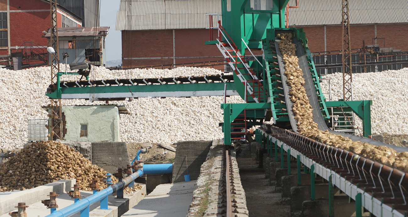 Kastamonu Şeker Fabrikasında şeker pancarı alım kampanyası başladı