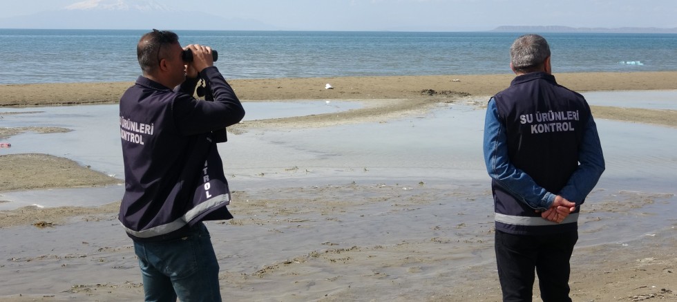 İnci kefali avcılarına göz açtırılmıyor