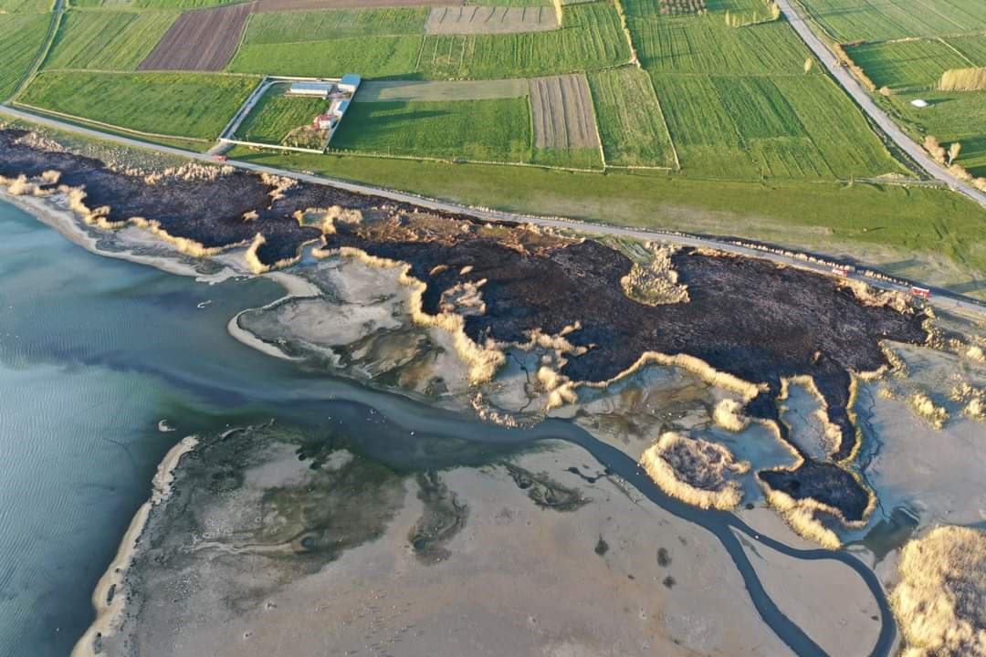 Van’da sazlık alanı yakan şahsa 244 bin TL idari para cezası uygulandı