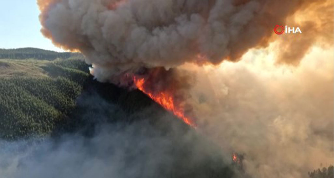 Kanada tarihinin en kötü yangın sezonu: 13.4 milyon hektarlık alan kül oldu