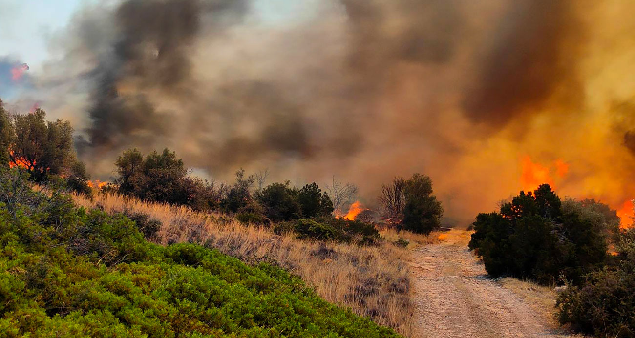 Yunanistan’ın Türkiye sınırındaki orman yangını 3 gündür devam ediyor