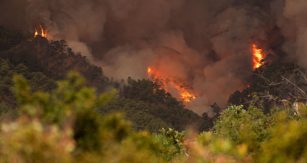 İspanya’nın Tenerife Adası’ndaki yangın büyüyor: Bin 800 hektar alan kül oldu
